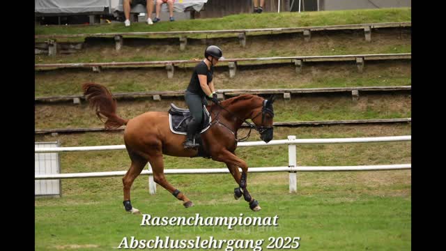 Das war der Abschlusslehrgang zum Rasenchampionat 2025! 💚

Bei größtenteils tollem Spätsommerwetter fand der Abschlusslehrgang des Rasenchampionates im Rahmen des WBO Turniers des RV Lohengrin Hau statt - selbstverständlich auf einem schönen Rasenplatz, wie es sich für dieses Championat gehört. 

Unter der fachkundigen Leitung von Otmar Eckermann trainierten die Teilnehmerinnen und Teilnehmern zunächst einzelne Hindernissen und Distanzen, bevor es am zweiten Tag ans Parcoursreiten ging. 

Nach dem Unterricht fand noch eine kleine Ehrung der bestplatzierten Reiterinnen und Reiter statt, auch an dieser Stelle nochmal herzlichen Glückwunsch! 👏

Für das Orga-Team heißt es jetzt ein Resümee zu ziehen, um gemeinsam mit allen teilnehmenden Vereinen zu besprechen, wie es im Jahr 2026 weitergehen kann.

Wir danken ganz herzlich allen Unterstützern, ohne die ein solches Projekt nicht möglich wäre und natürlich allen Reiterinnen und Reitern, die unsere Turniere mit Leben gefüllt haben. 🫶
 
Anregungen und Verbesserungswünsche sind übrigens immer gerne gesehen…📧